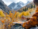 Les tendances actuelles du coloriage sur la montagne pour les artistes en herbe