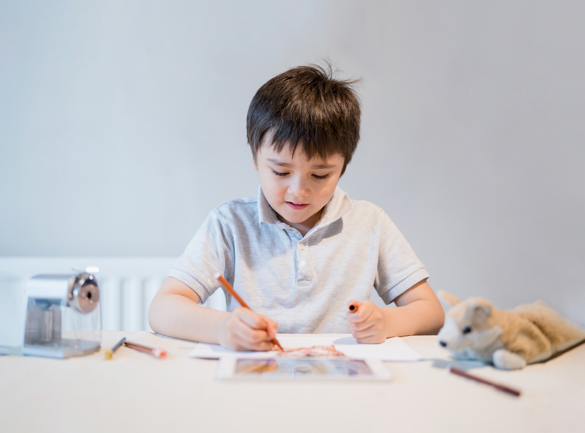 Kid using colour pen drawing and painting on paper, Child colouring dog toys on paper,