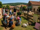 découvrez la ferme pédagogique de belfort, un lieu idéal pour apprendre sur la nature et les animaux tout en s'amusant en famille ou entre amis.
